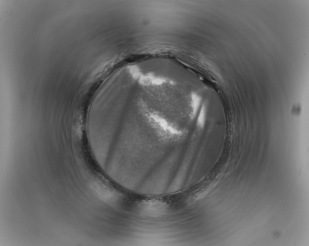 X0000090770644200708172109