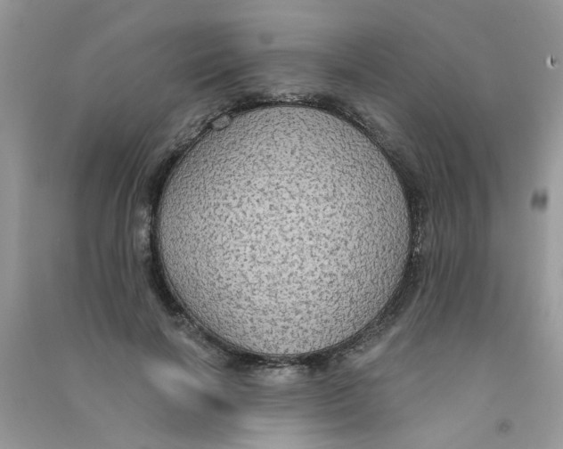 X0000090770646200708172109
