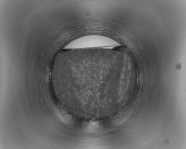 X0000090770647200708172109