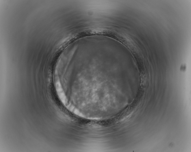 X0000090770648200708172109