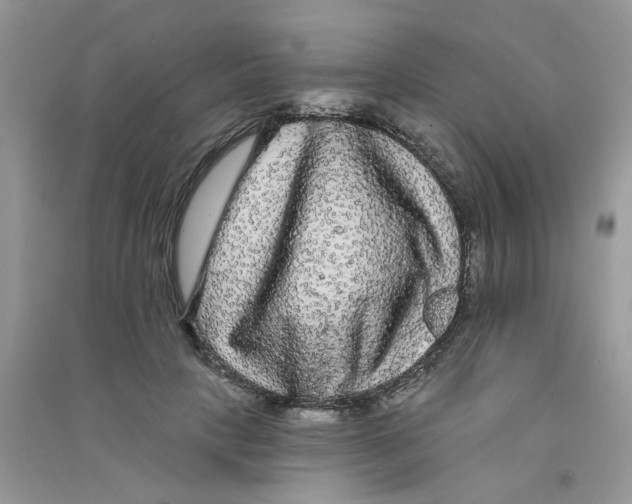 X0000090770649200708172109