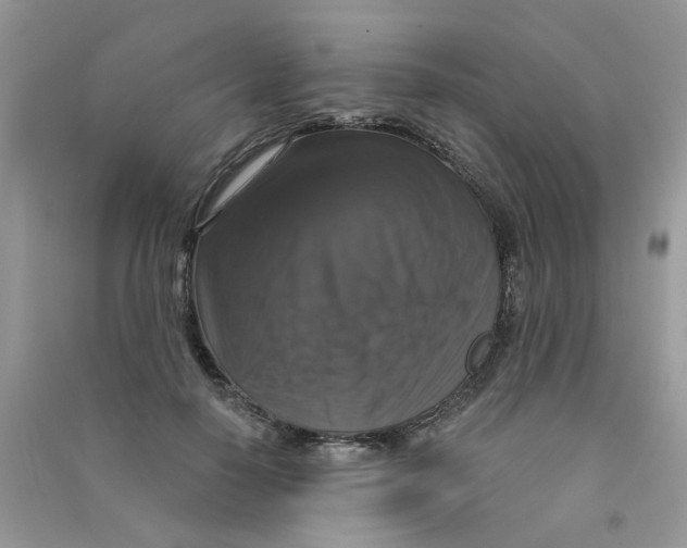 X0000090770650200708172109