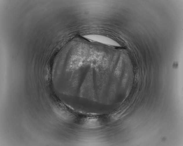 X0000090770651200708172109