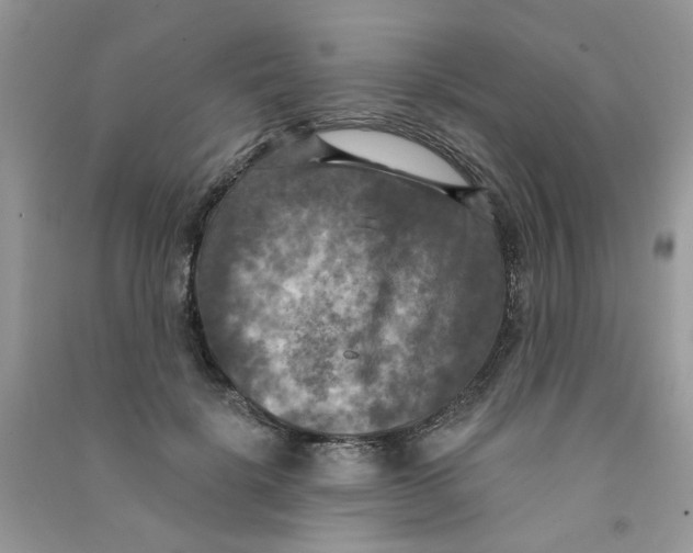 X0000090770652200708172109