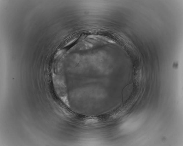 X0000090770653200708172109