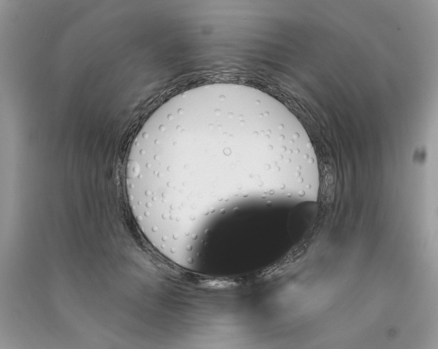 X0000090770654200708172109