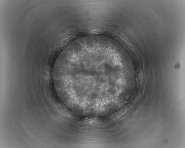 X0000090770655200708172109