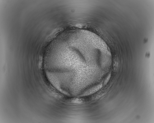 X0000090770656200708172109