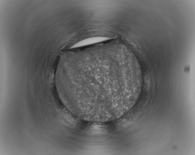 X0000090770657200708172109