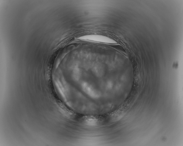 X0000090770658200708172109
