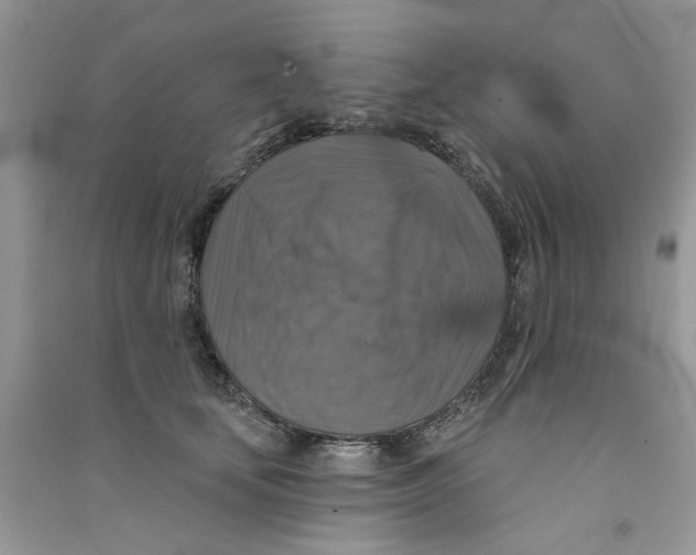 X0000090770659200708172109