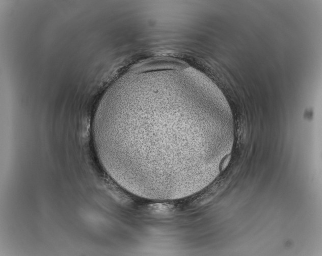X0000090770660200708172109