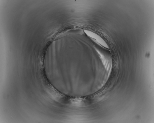 X0000090770661200708172109