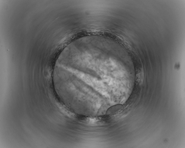X0000090770662200708172109