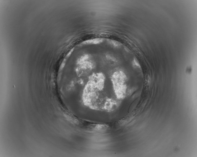X0000090770663200708172109