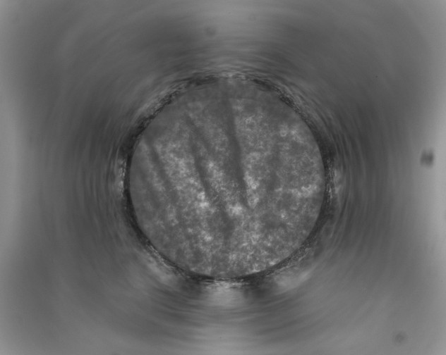 X0000090770664200708172109