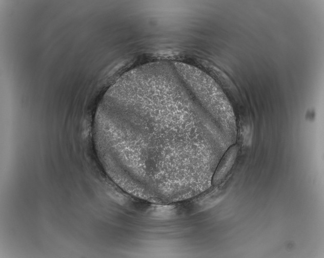 X0000090770665200708172109