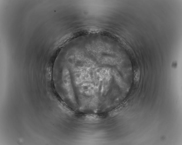X0000090770666200708172109