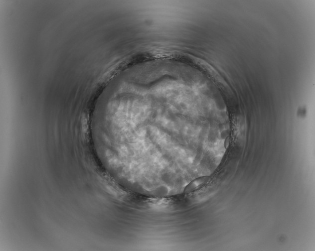 X0000090770667200708172109