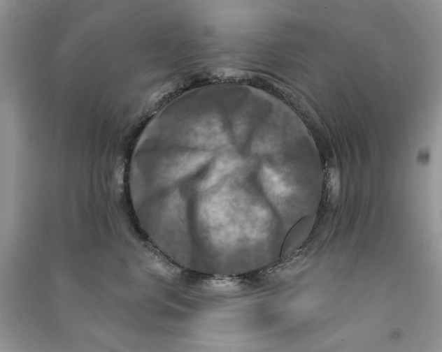 X0000090770668200708172109