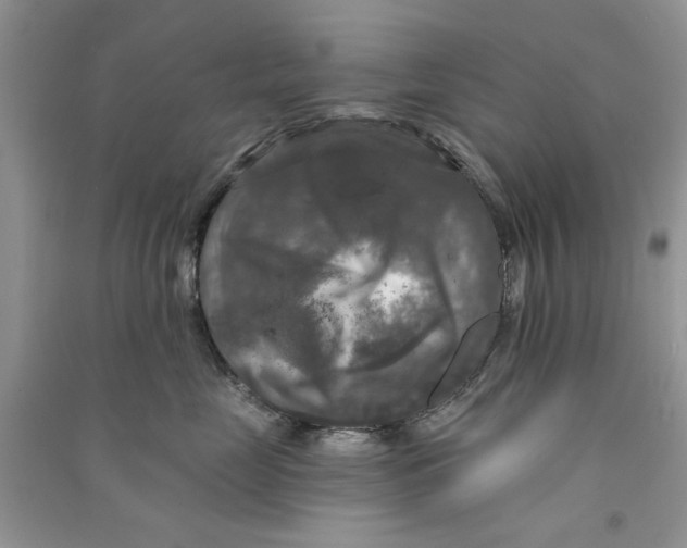 X0000090770669200708172109