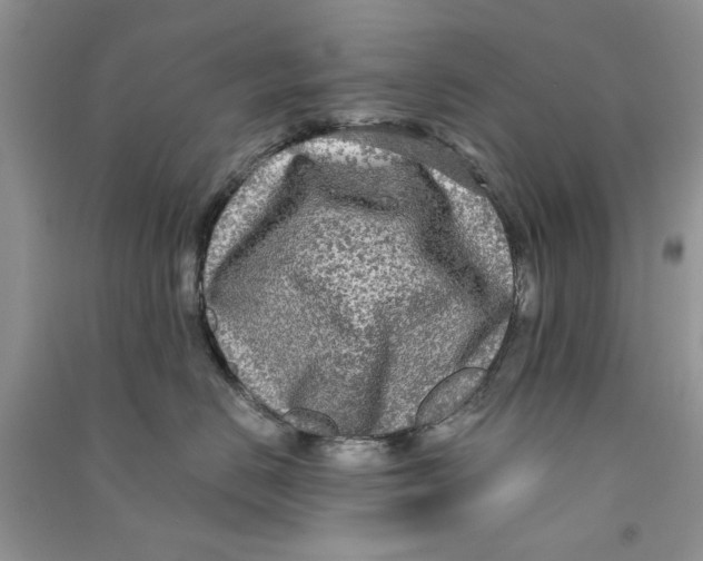 X0000090770670200708172109