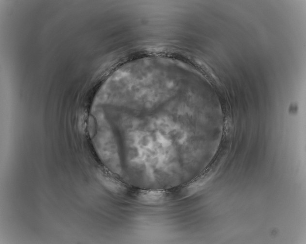 X0000090770671200708172109