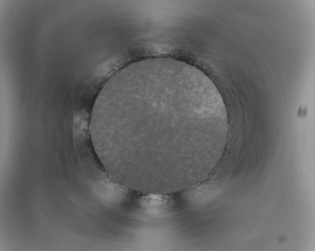 X0000090770672200708172109