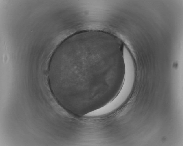 X0000090770673200708172108