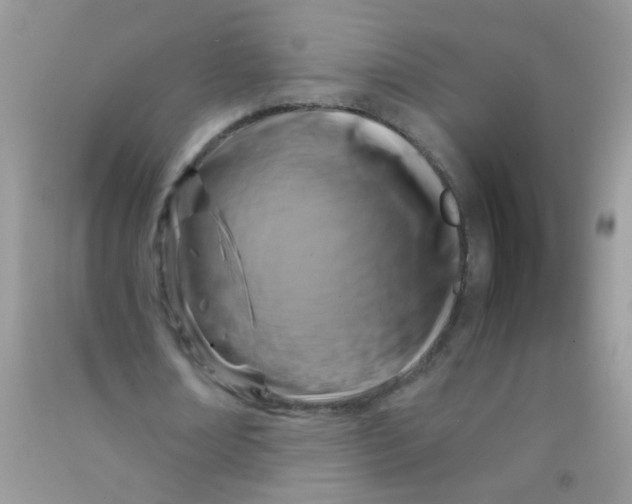 X0000090770674200708172108