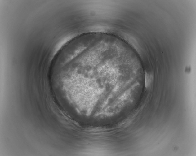 X0000090770675200708172108