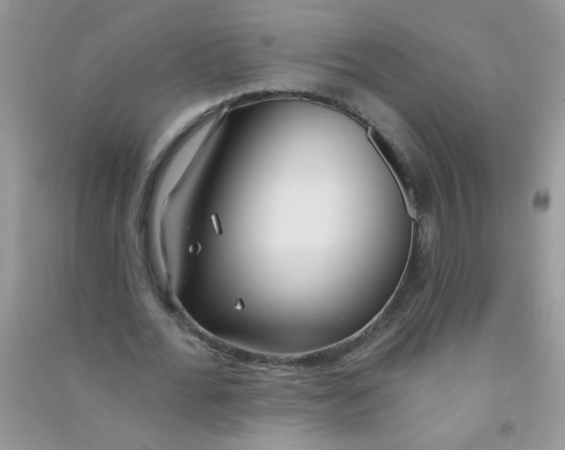 X0000090770676200708172108