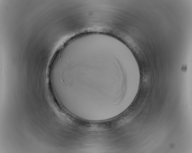 X0000090770678200708172108