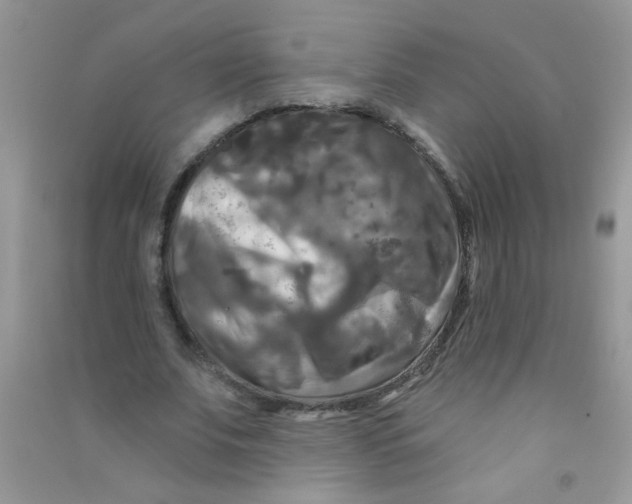 X0000090770679200708172108