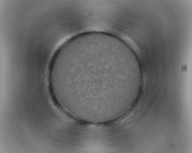 X0000090770680200708172108