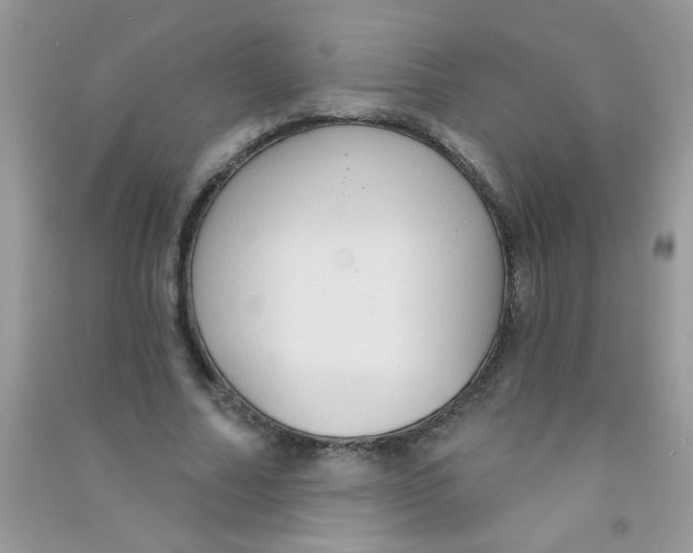 X0000090770682200708172108