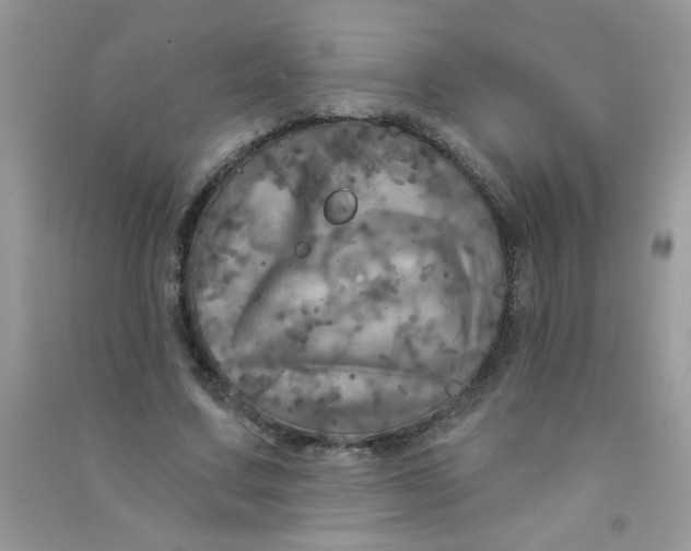 X0000090770683200708172108