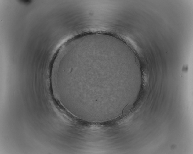 X0000090770684200708172108