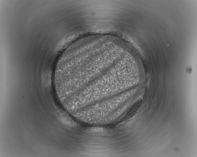 X0000090770685200708172108