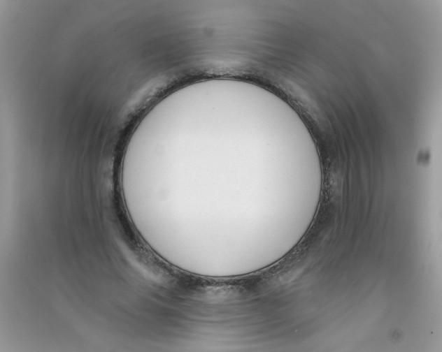 X0000090770686200708172108