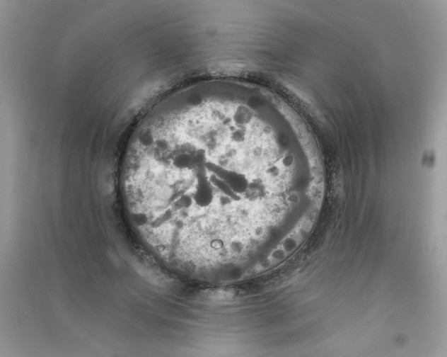 X0000090770687200708172108