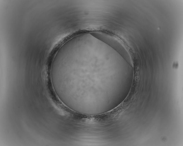X0000090770688200708172108