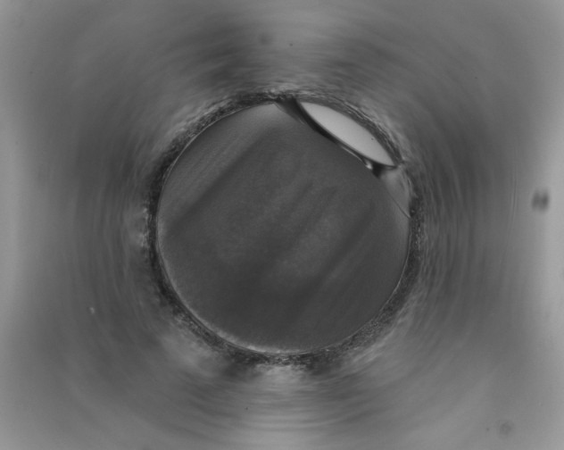 X0000090770689200708172108