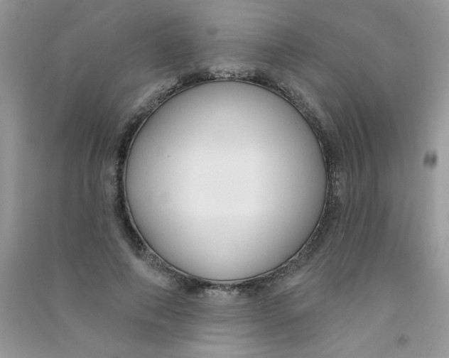 X0000090770690200708172108