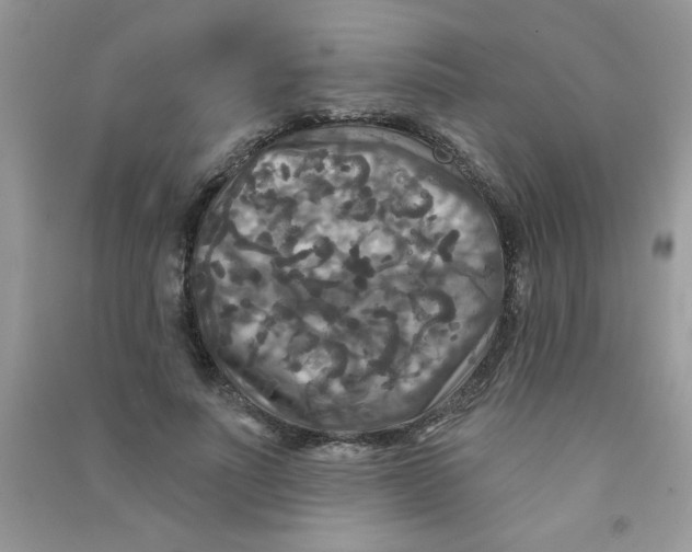 X0000090770691200708172108