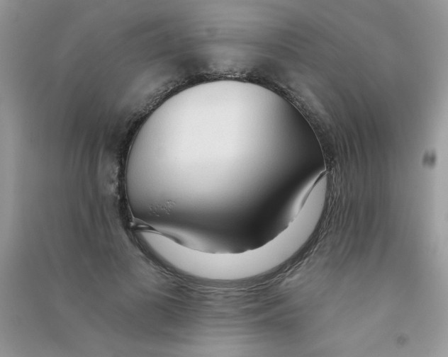 X0000090770693200708172108