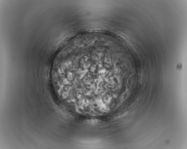 X0000090770695200708172108