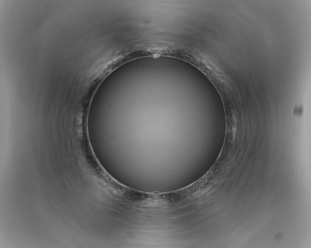X0000090770696200708172108