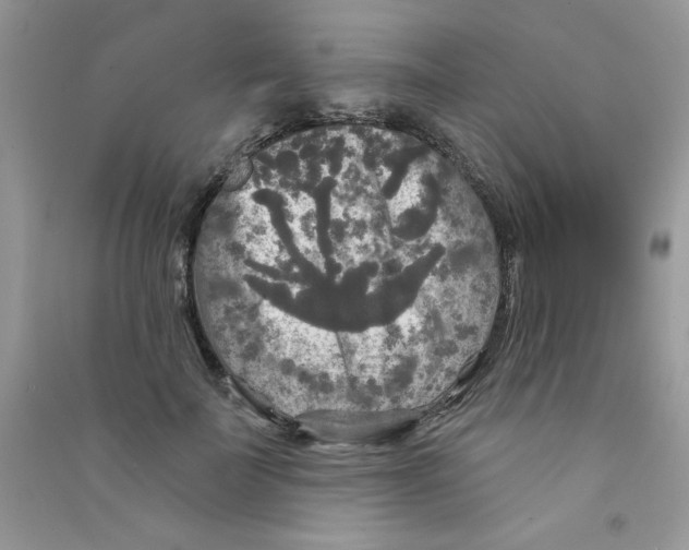 X0000090770699200708172108