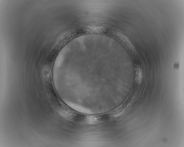 X0000090770701200708172108